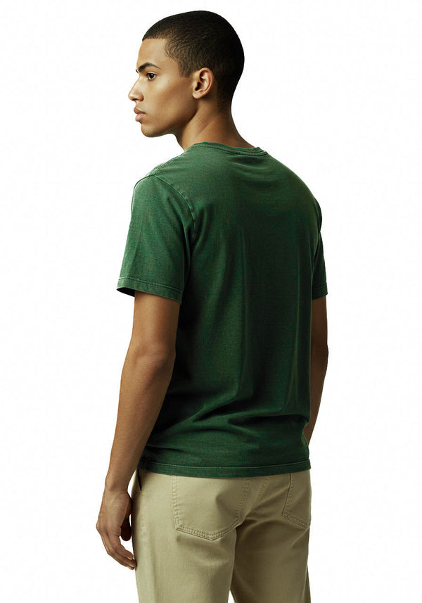 Verde Musgo