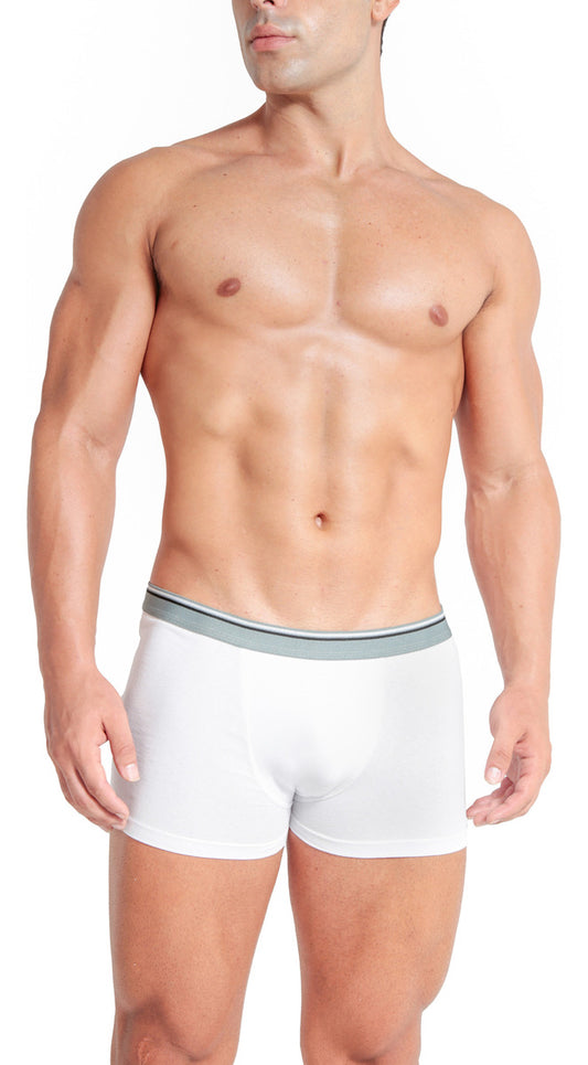 Kit 5 Cuecas Boxer Masculina Algodão Elastano Premium